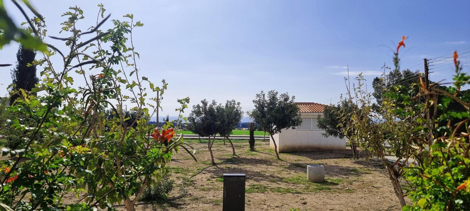 Shanti Paphos Villa Zewnętrze zdjęcie