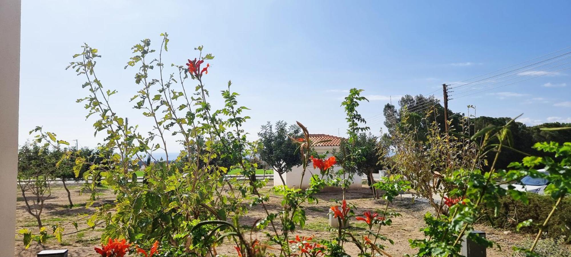 Shanti Paphos Villa Zewnętrze zdjęcie