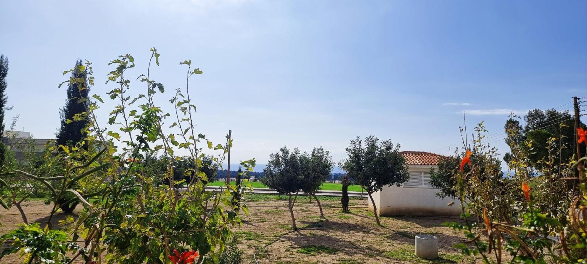 Shanti Paphos Villa Zewnętrze zdjęcie